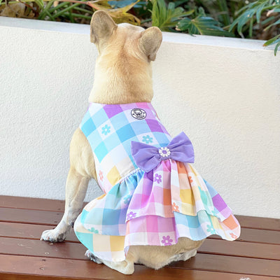 Country Fair Ruffles Dog Dress with bow (Limited Edition)