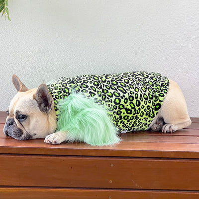 LUXE Green Leopard Dog Skivvie