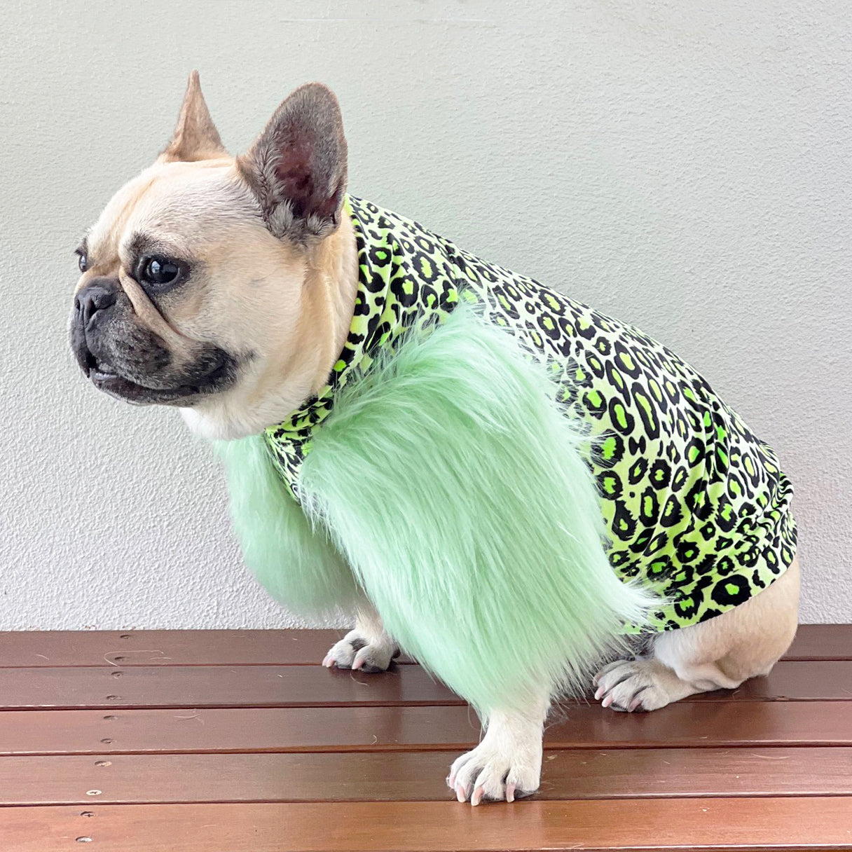 LUXE Green Leopard Dog Skivvie