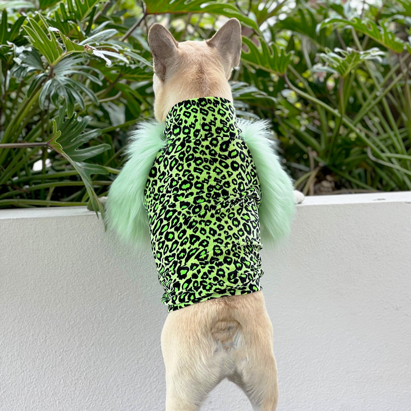 LUXE Green Leopard Dog Skivvie