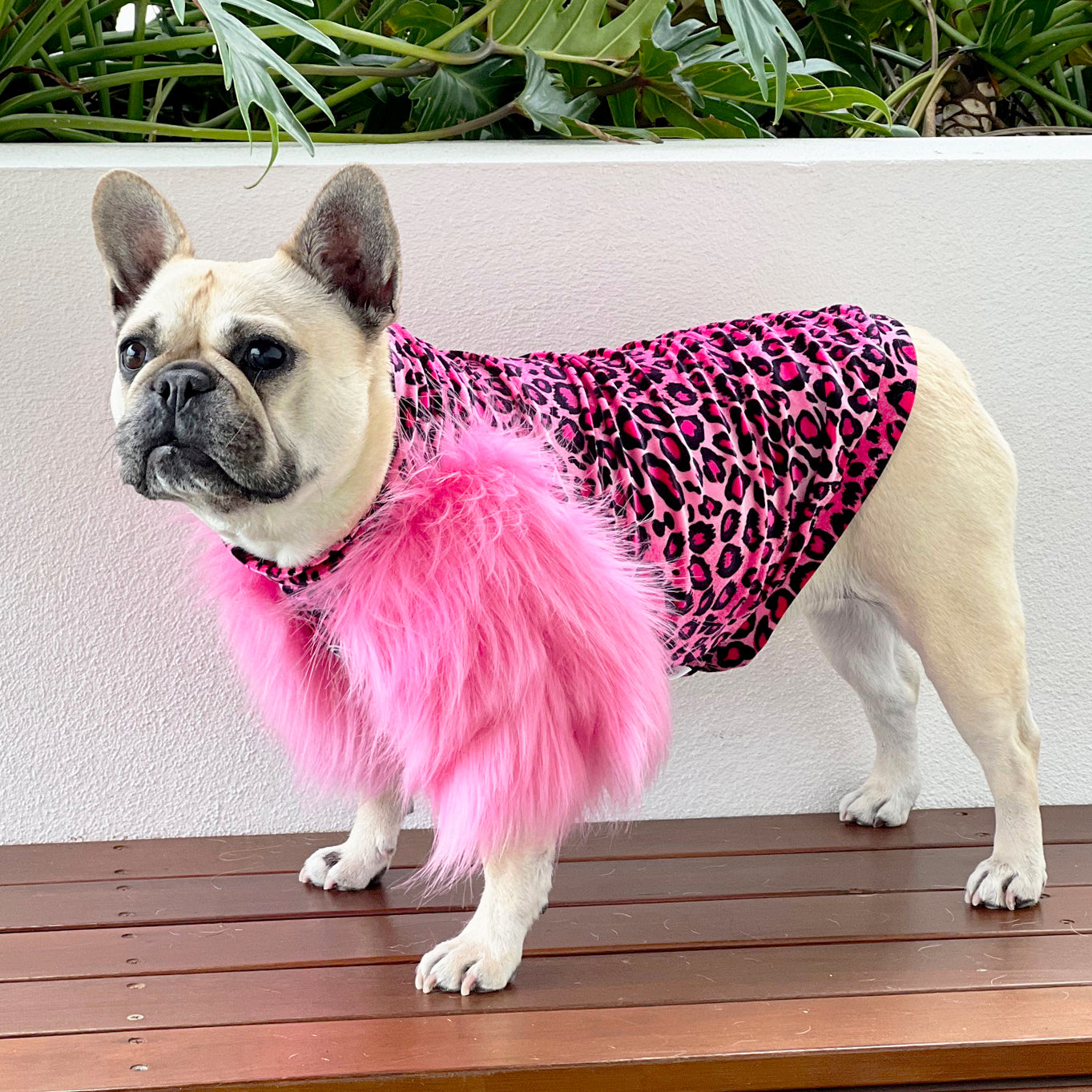 LUXE - Raspberry Leopard Dog Skivvie