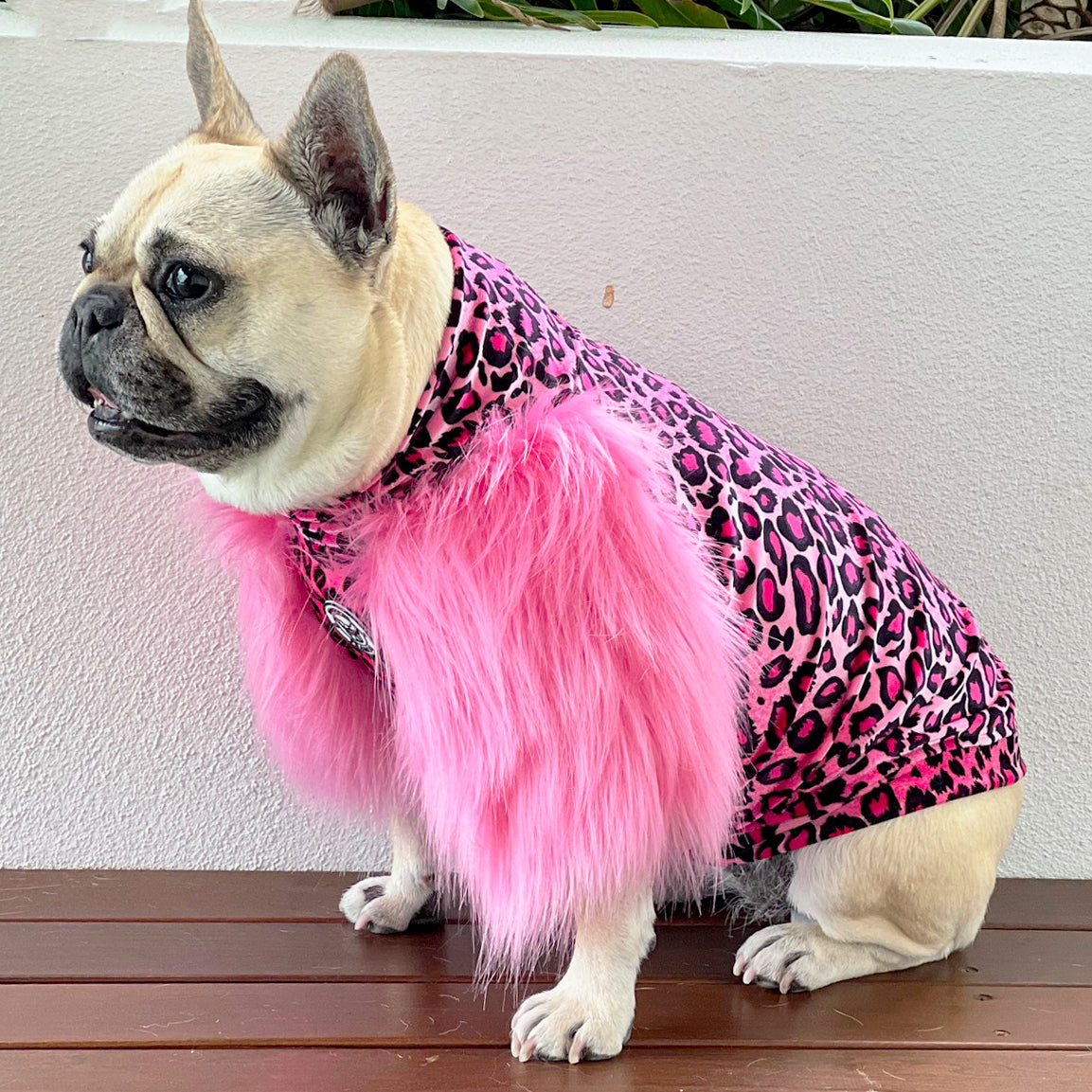LUXE - Raspberry Leopard Dog Skivvie
