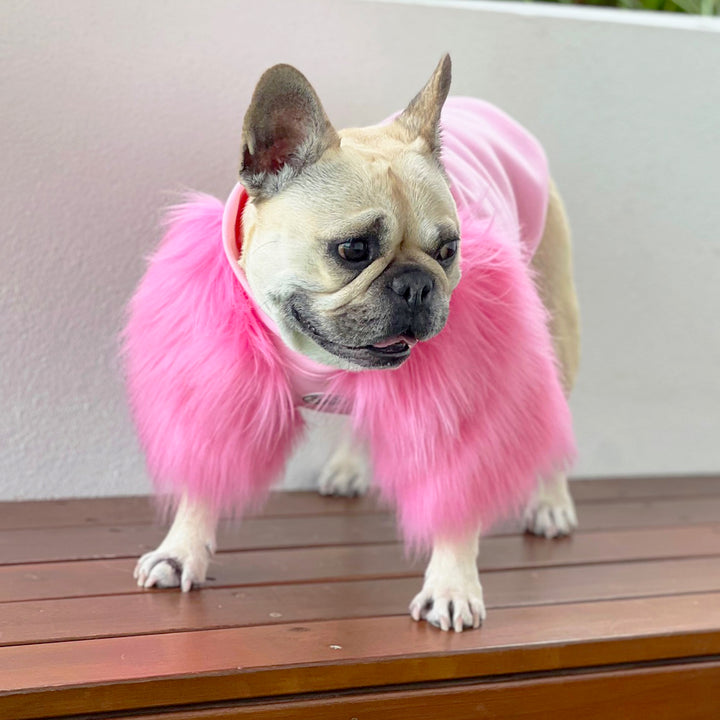 PINK fashion dogs