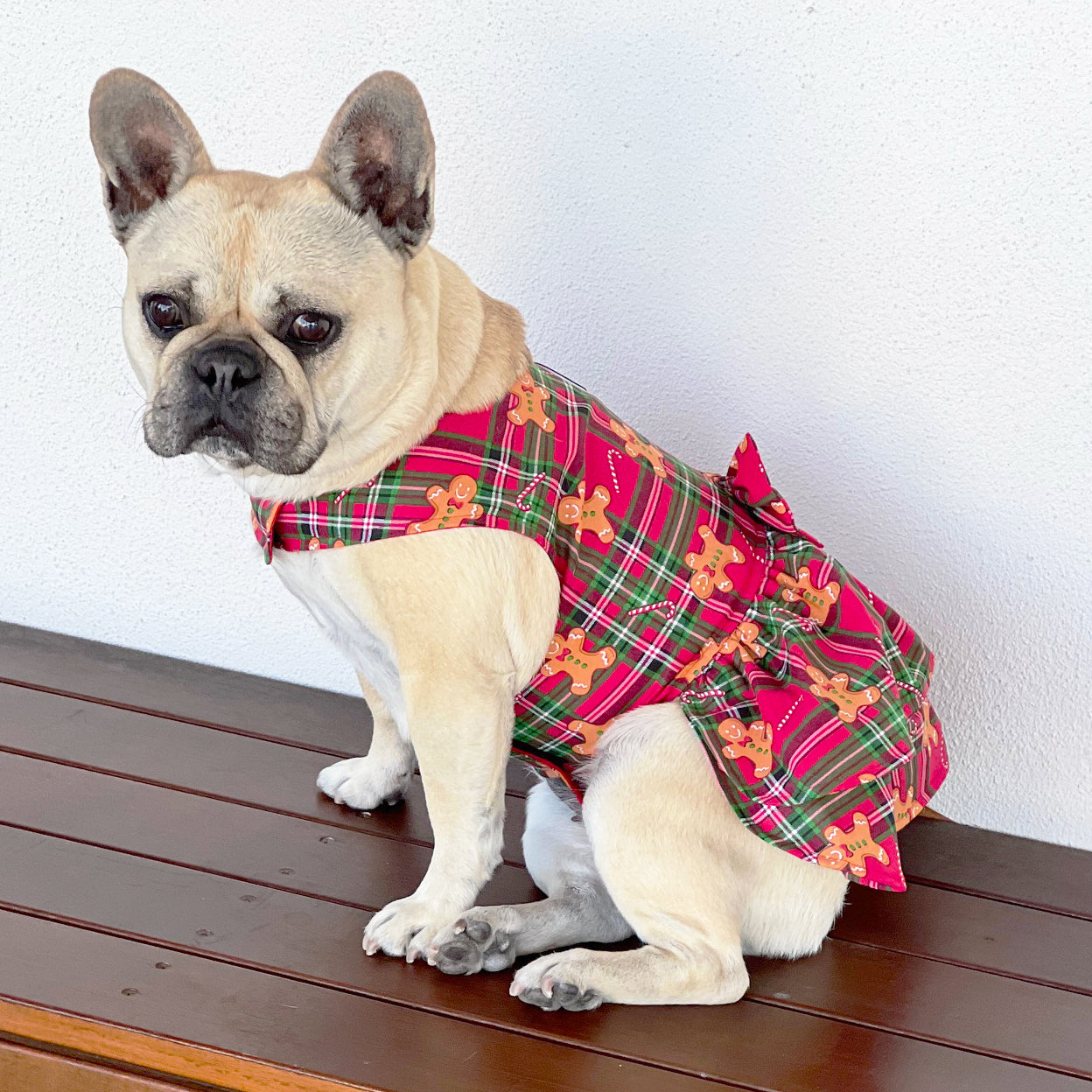 Gingerbread Dog Dress  (Limited Edition)