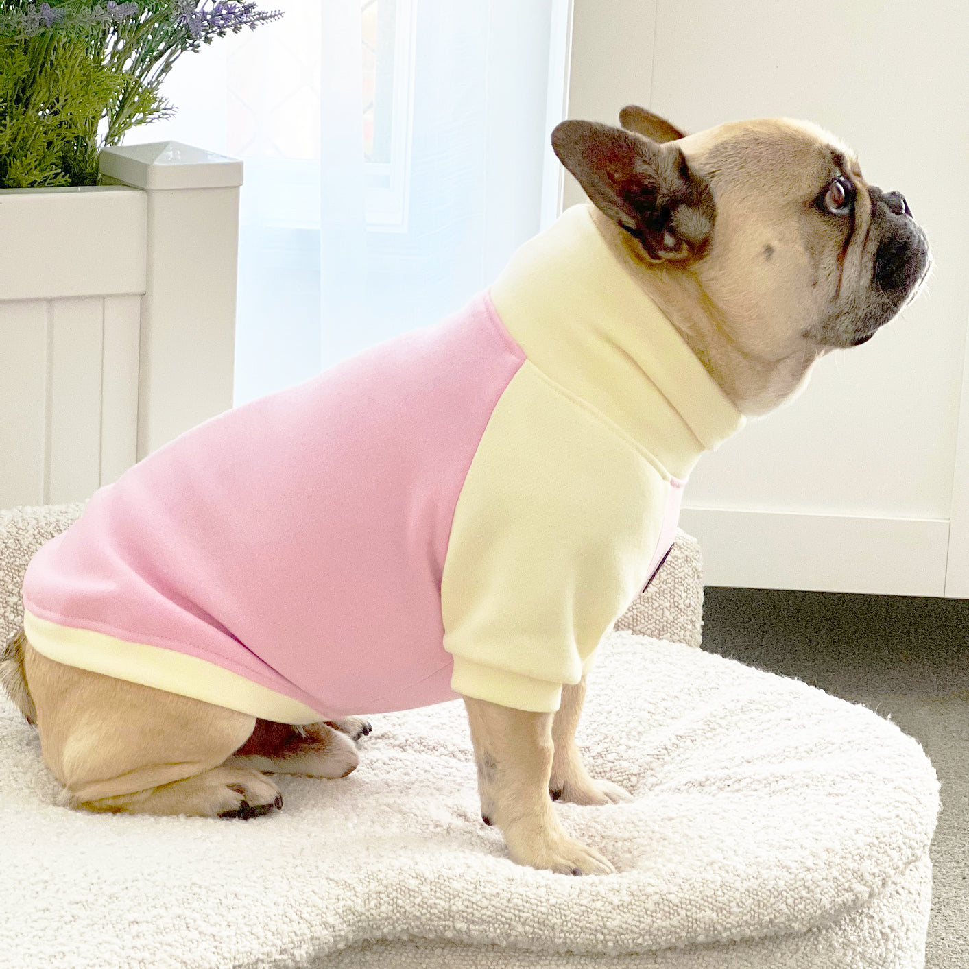 Buttercup Mood Dog Skivvy