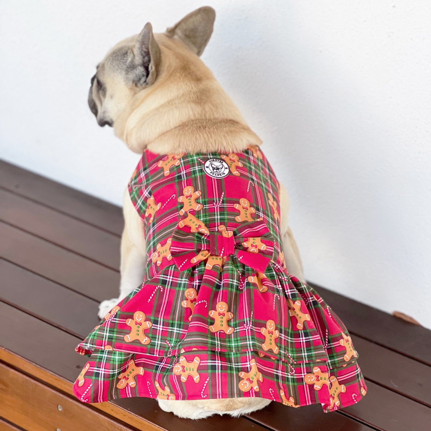 Gingerbread Dog Dress  (Limited Edition)