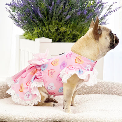 Candy Crush - Ruffle Dog Dress with bow (Limited Edition)
