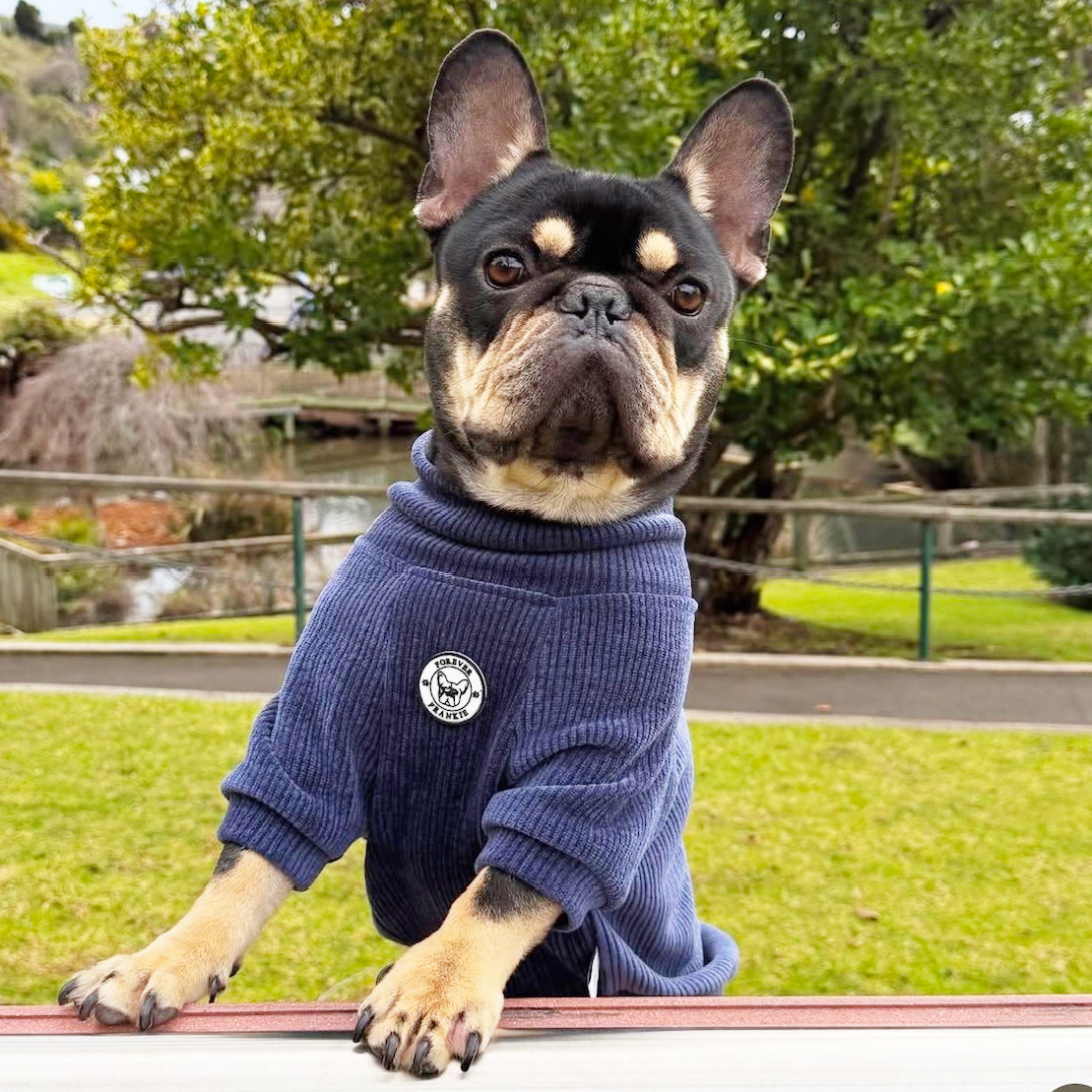 Indigo Drift Dog Skivvy