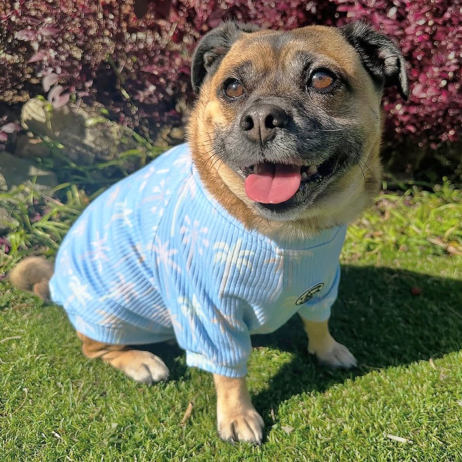 Tropicana Dog Skivvy