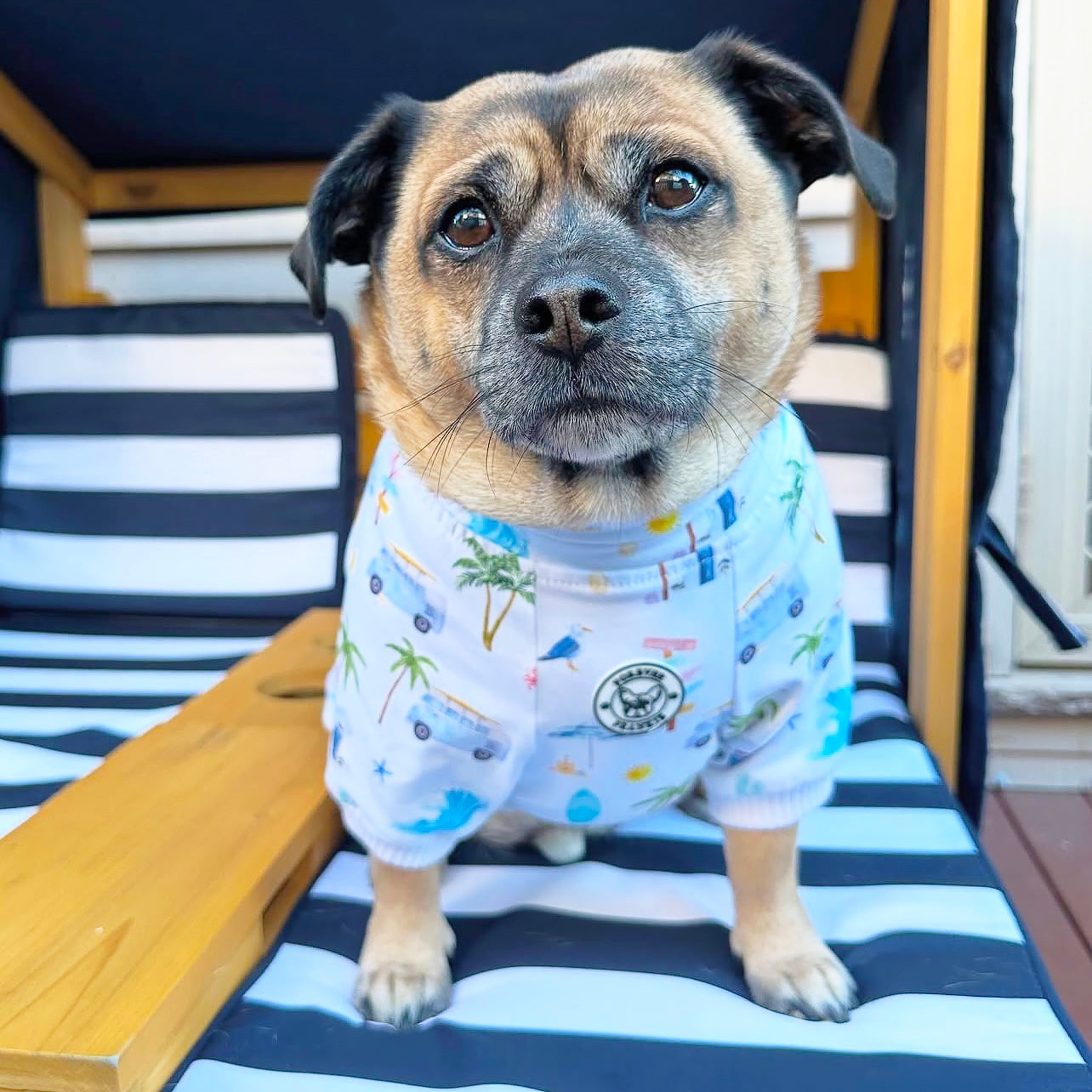 Luxe - Surf Pup Safari Dog Skivvy