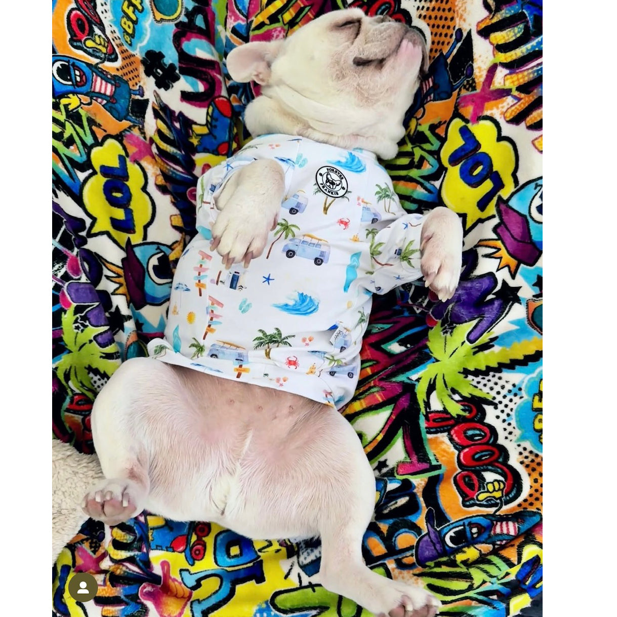 Luxe - Surf Pup Safari Dog Skivvy