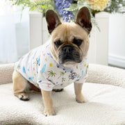 Luxe - Surf Pup Safari Dog Skivvy