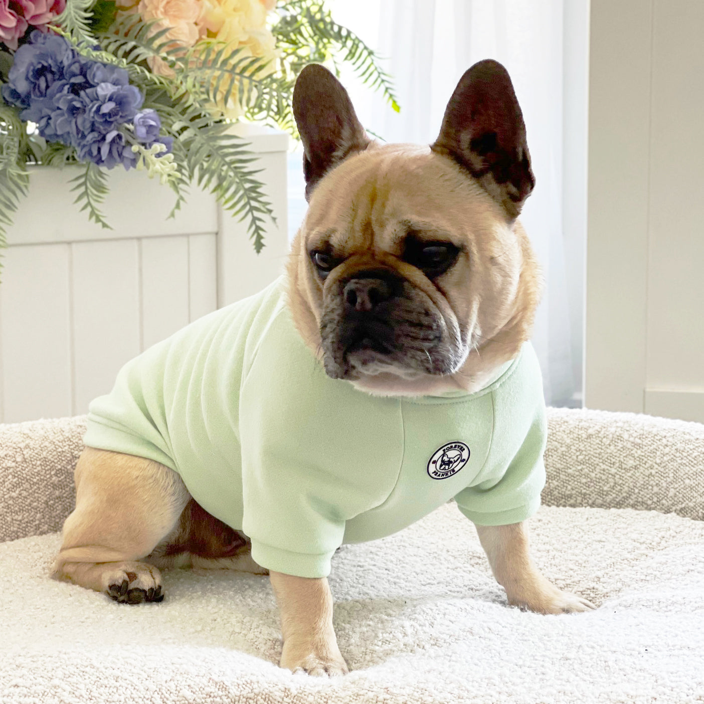 Cucumber Chill Dog Skivvy