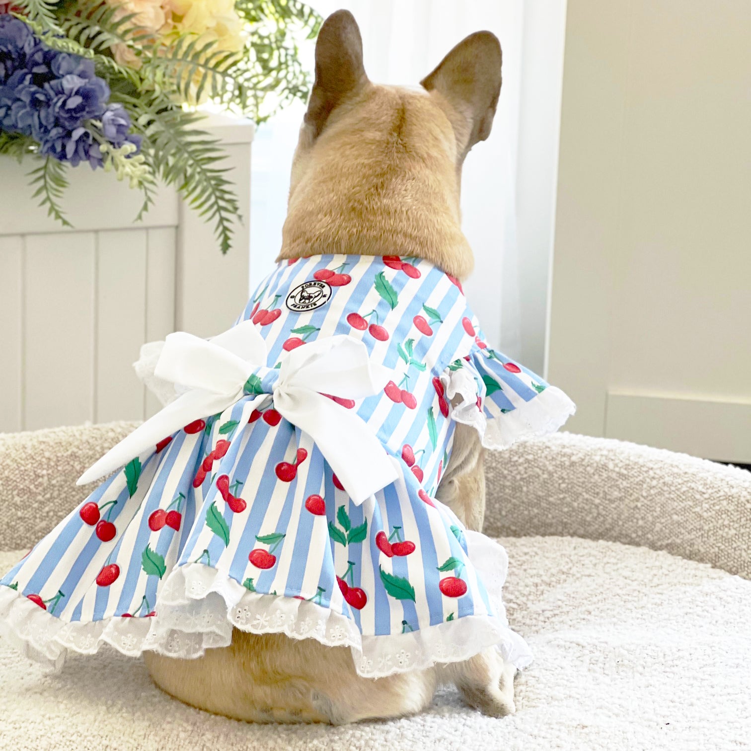 Cherry Spritz - Ruffle Dog Dress with bow (Limited Edition)