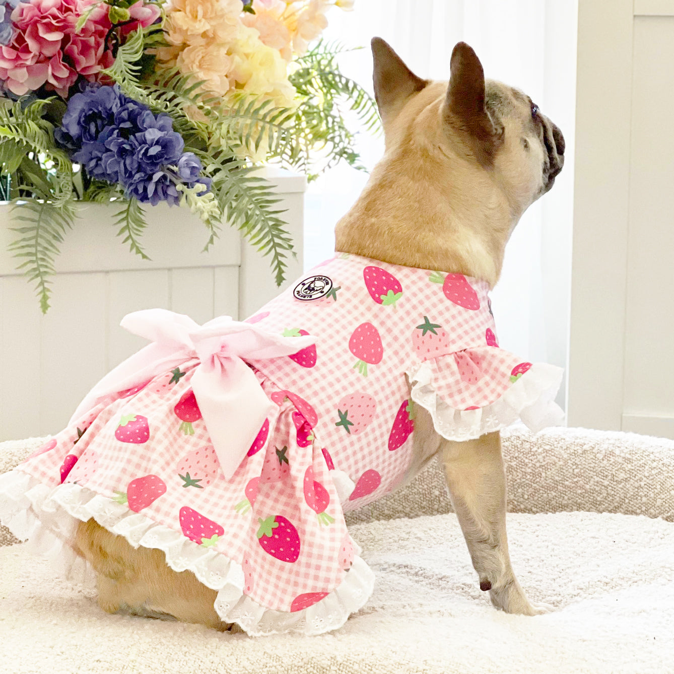 Strawberry Shortcake - Ruffle Dog Dress with bow (Limited Edition)
