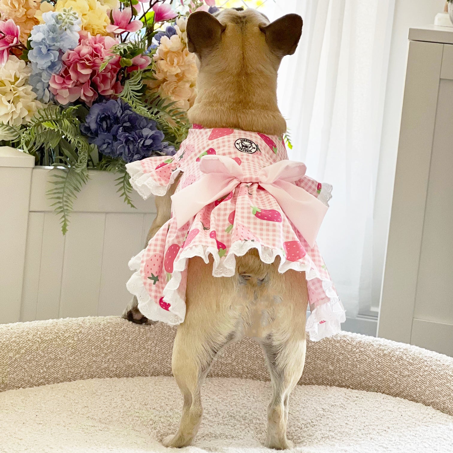 Strawberry Shortcake - Ruffle Dog Dress with bow (Limited Edition)