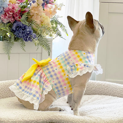Buttercup Meadow Gingham - Ruffle Dog Dress with bow (Limited Edition)