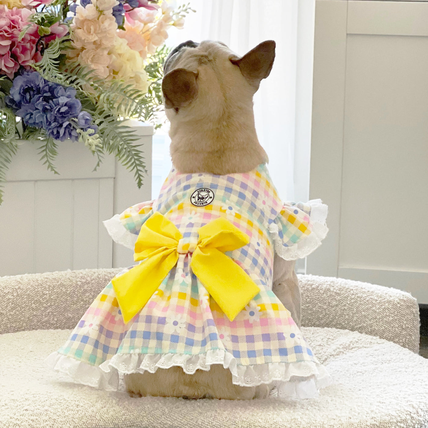 Buttercup Meadow Gingham - Ruffle Dog Dress with bow (Limited Edition)