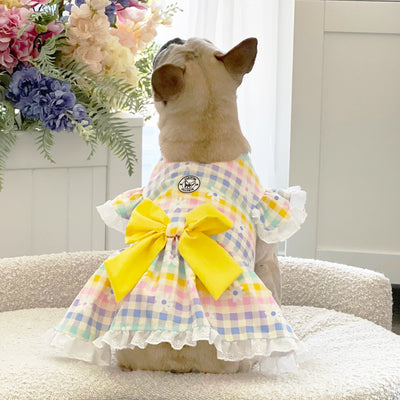Buttercup Meadow Gingham - Ruffle Dog Dress with bow (Limited Edition)