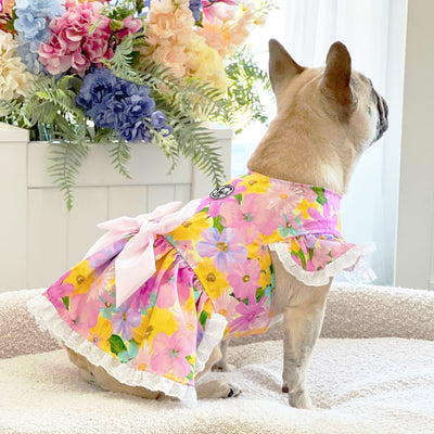 Blossom Parade - Ruffle Dog Dress with bow (Limited Edition)