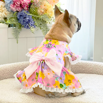 Blossom Parade - Ruffle Dog Dress with bow (Limited Edition)