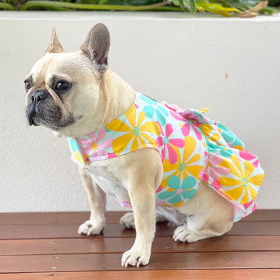 Sunshine Dreams Ruffles Dog Dress with bow (Limited Edition)