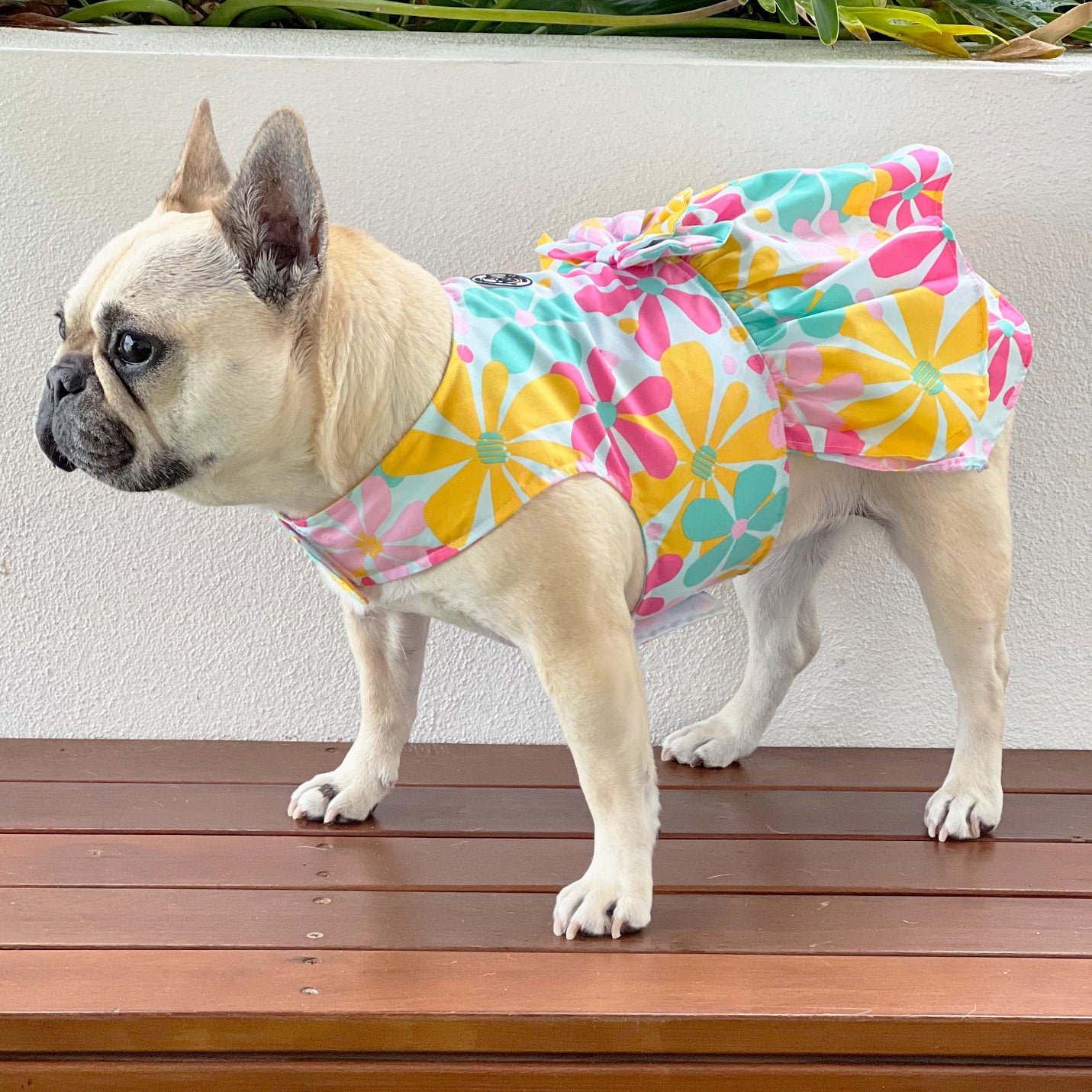 Sunshine Dreams Ruffles Dog Dress with bow -End of line!