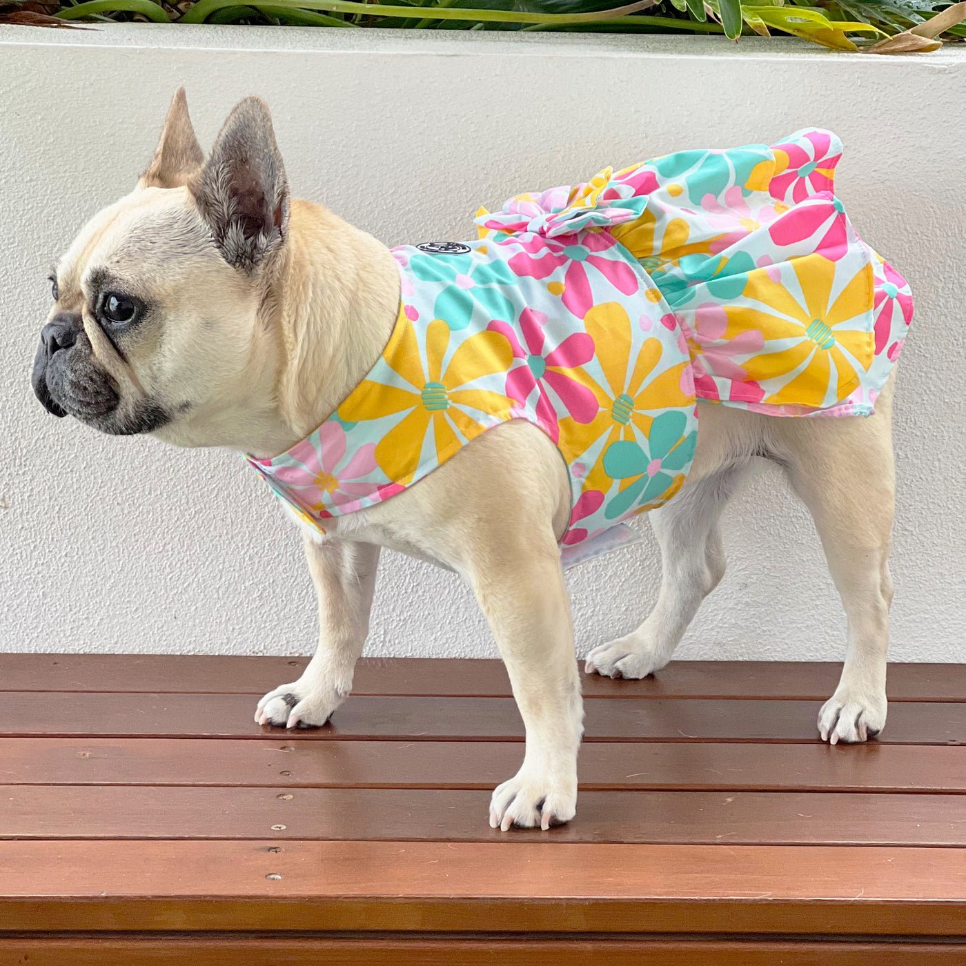 Sunshine Dreams Ruffles Dog Dress with bow (Limited Edition)