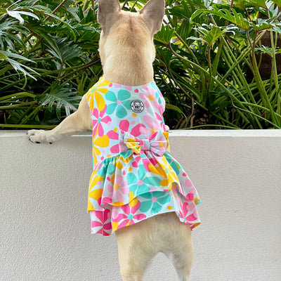 Sunshine Dreams Ruffles Dog Dress with bow (Limited Edition)