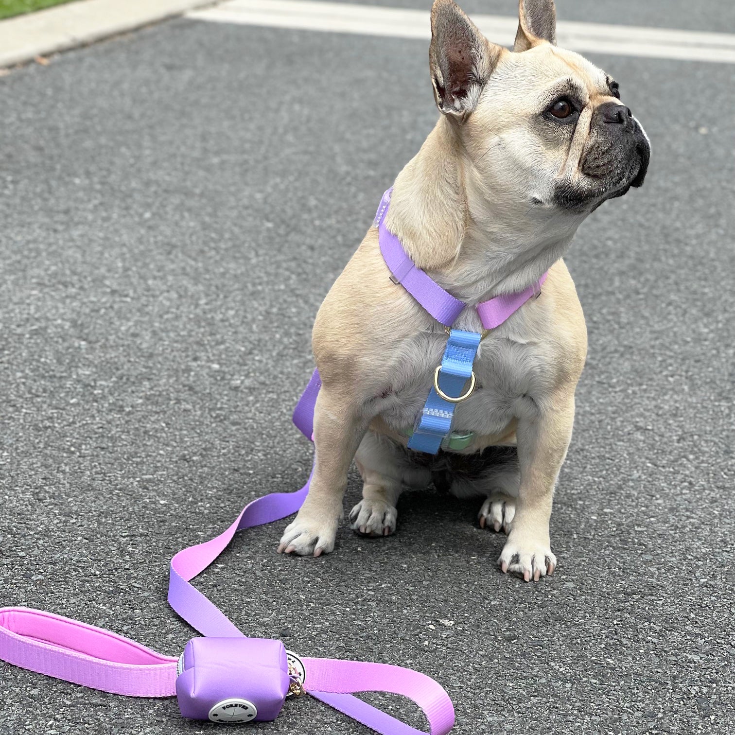 Pastel Lavender - Luxe Poop Bag Holder