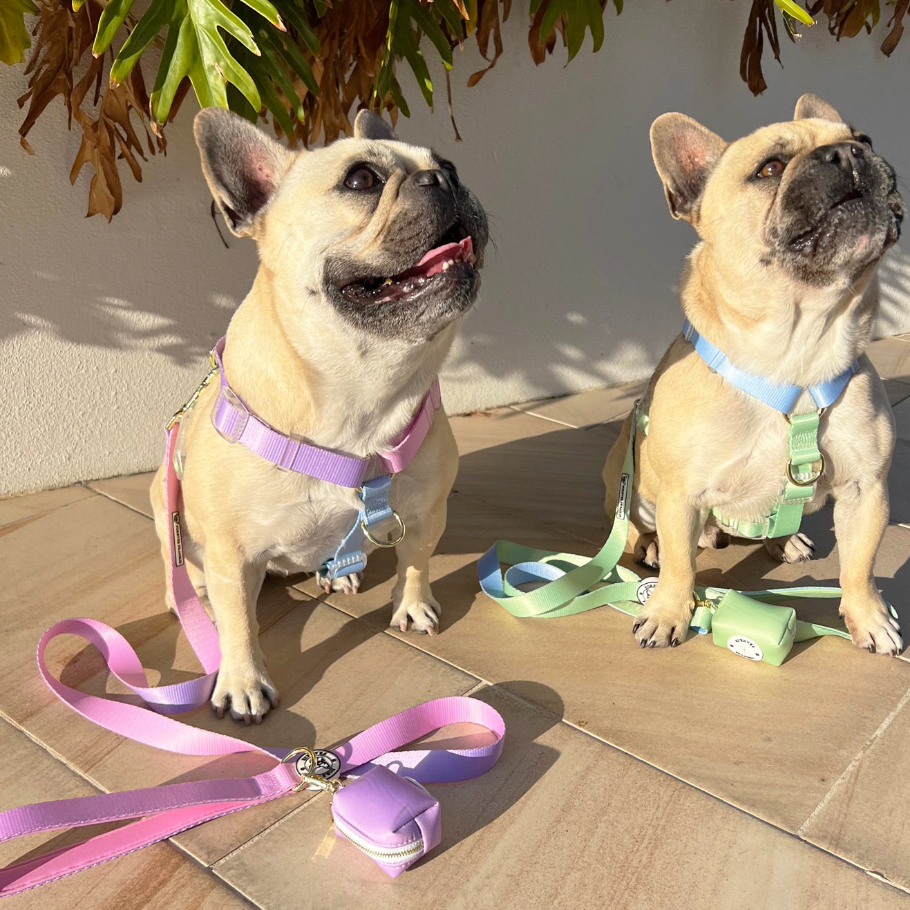 Pastel Lavender - Luxe Poop Bag Holder