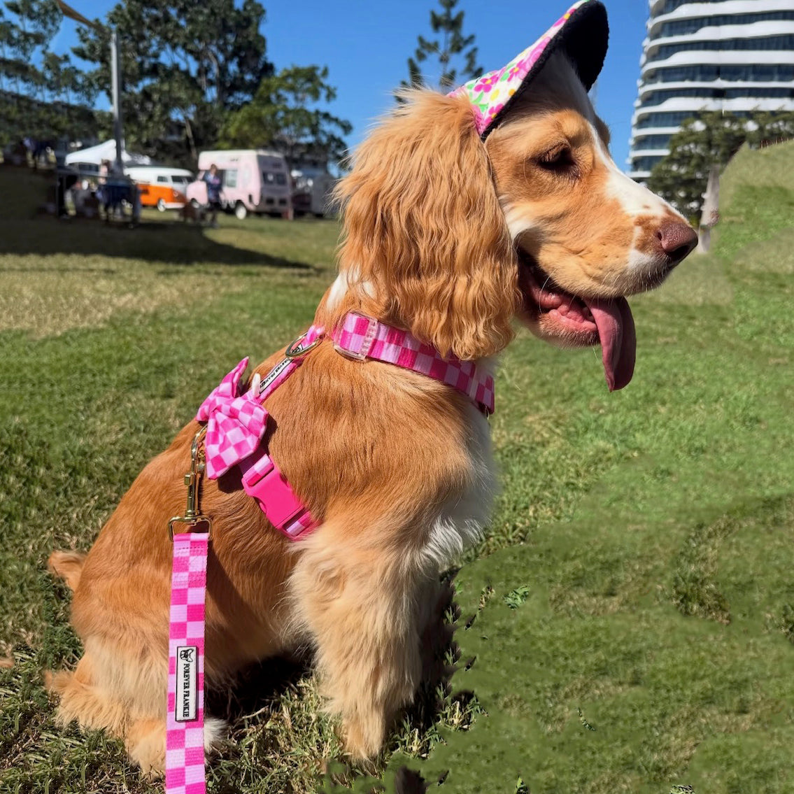 Pink Lemonade Check - Luxe Strap Harness