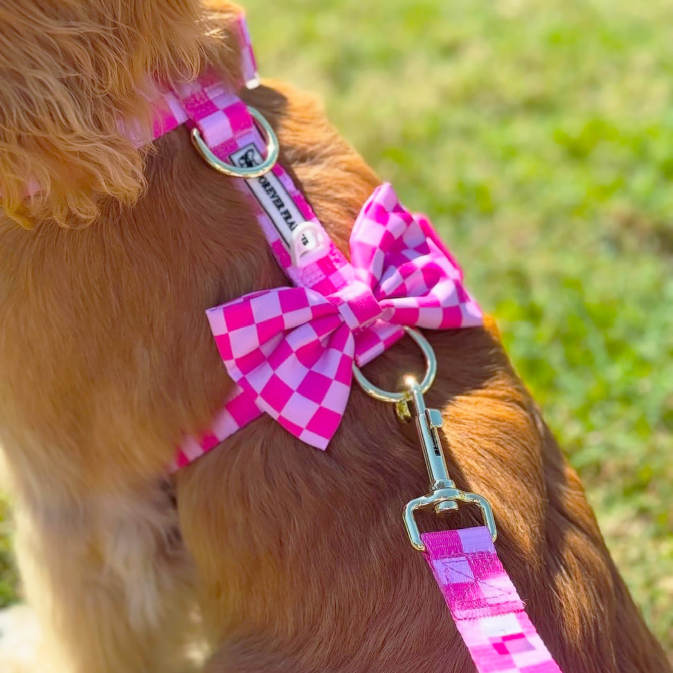 Pink Lemonade Check - Luxe Strap Harness