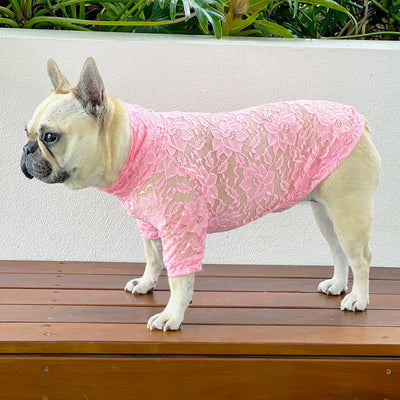 Bubblegum Lace - Luxe Dog Skivvy