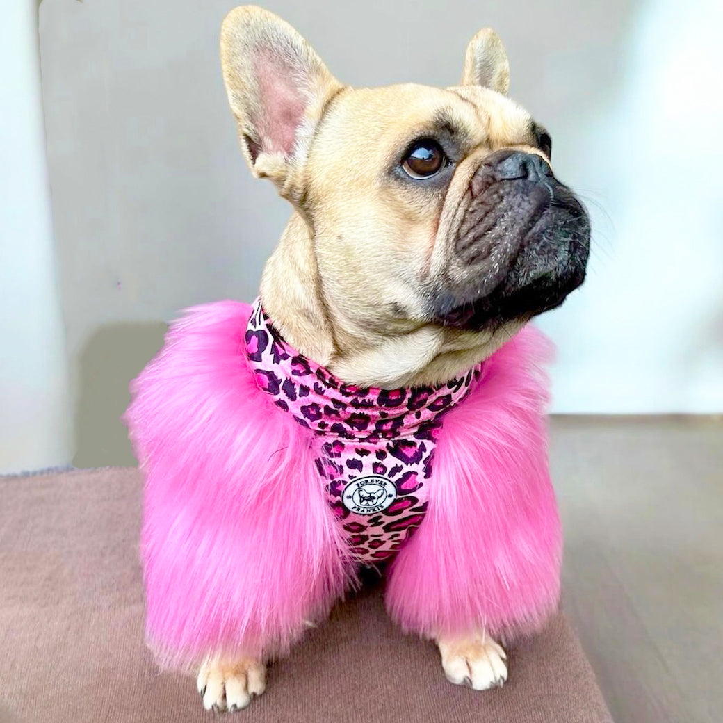 LUXE - Raspberry Leopard Dog Skivvie