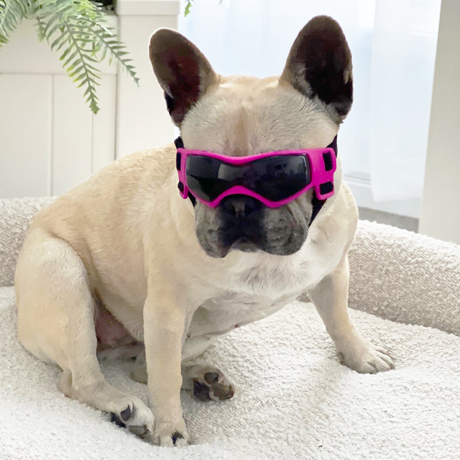 Pink - Adventure Goggles