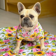 Heavenly Sunflower - Sun & Sand Rashie UV 50+ -  END OF LINE