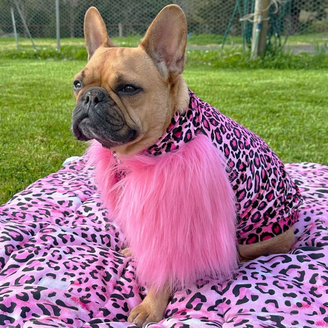 LUXE - Raspberry Leopard Dog Skivvie