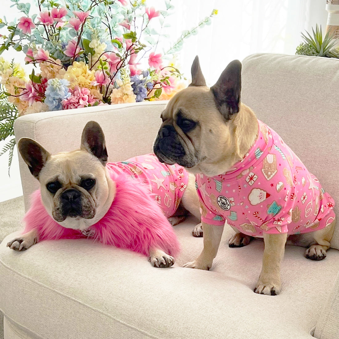 Sugar Rush  - Dog Skivvy