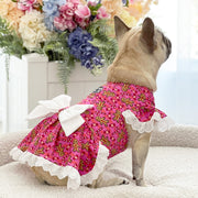 Ginger Snap Princess - Christmas Dog Dress  (Limited Edition)
