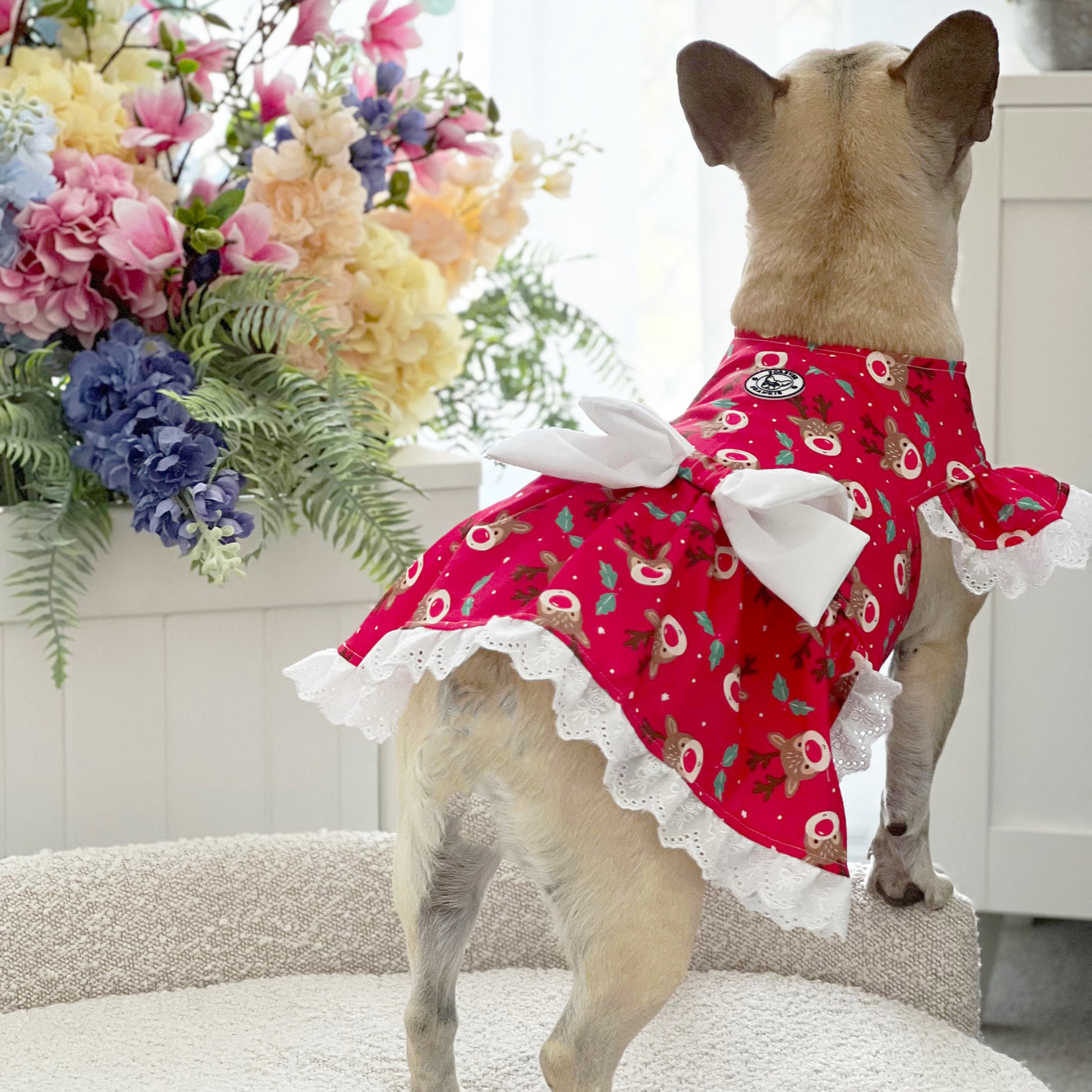 Merry Tweetness - Christmas Dog Dress with bow (Limited Edition)