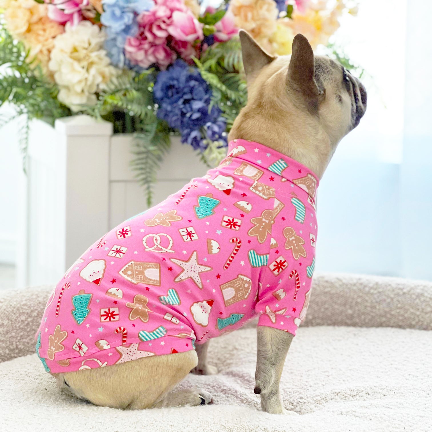 Sugar Rush  - Dog Skivvy