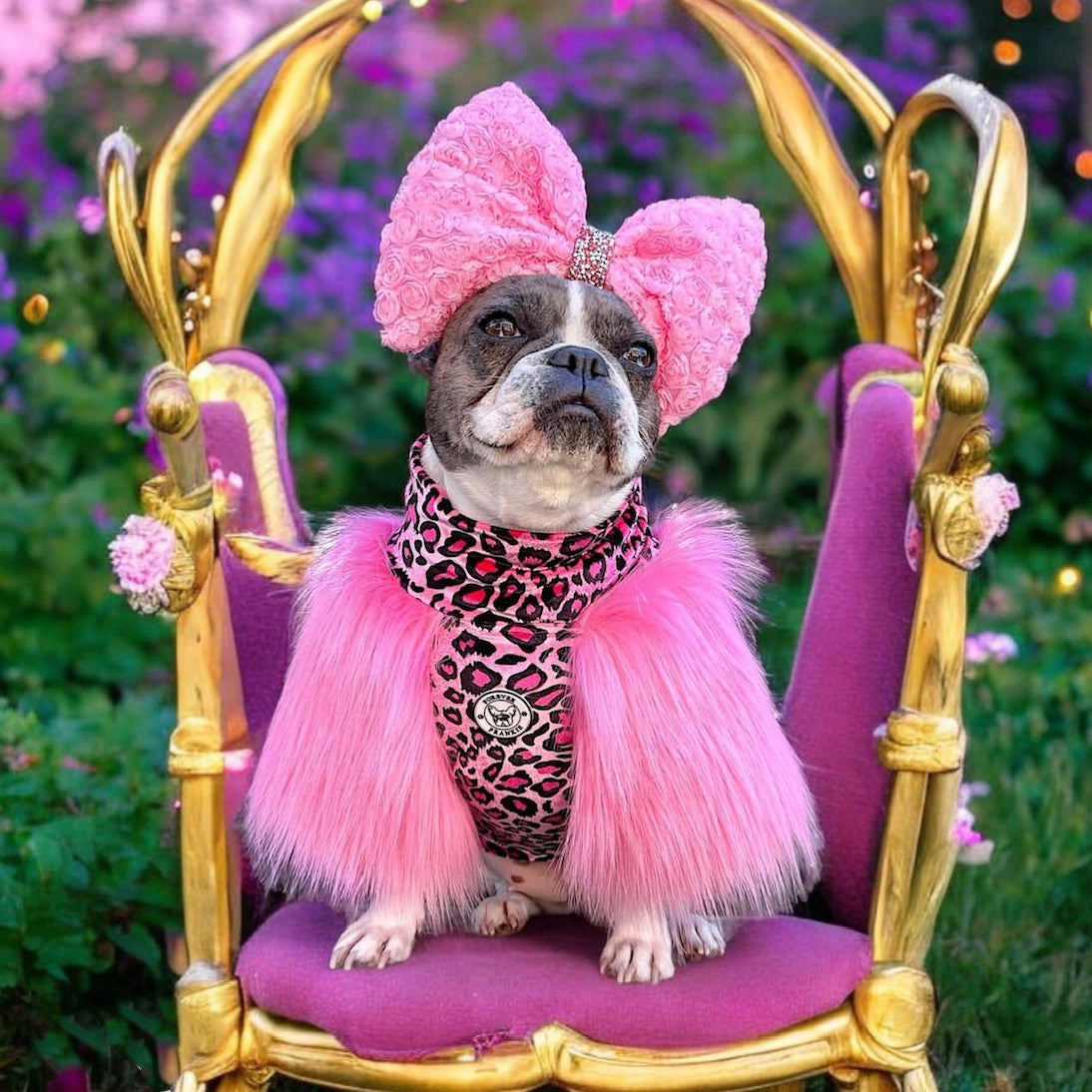 LUXE - Raspberry Leopard Dog Skivvie