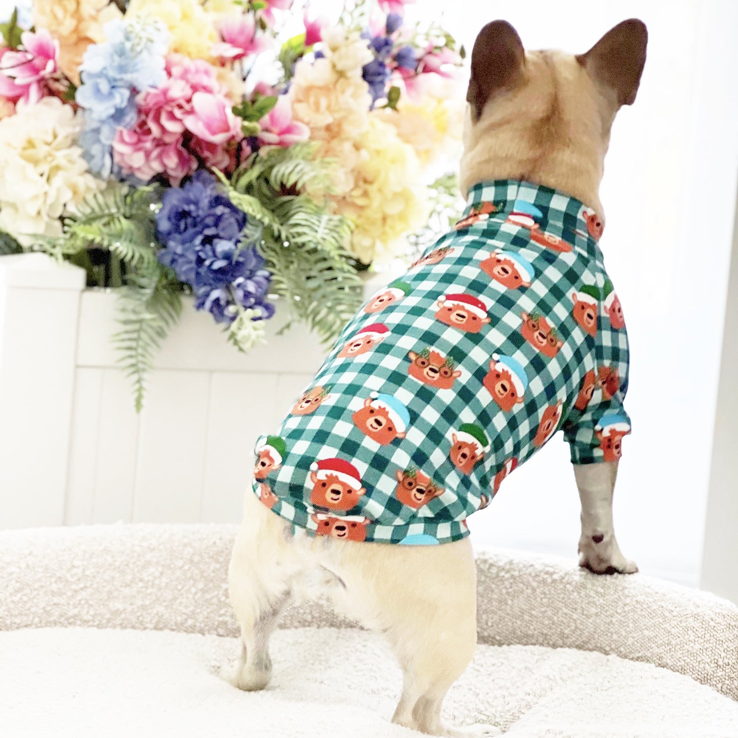 Jingle bear Rock  - Dog Skivvy