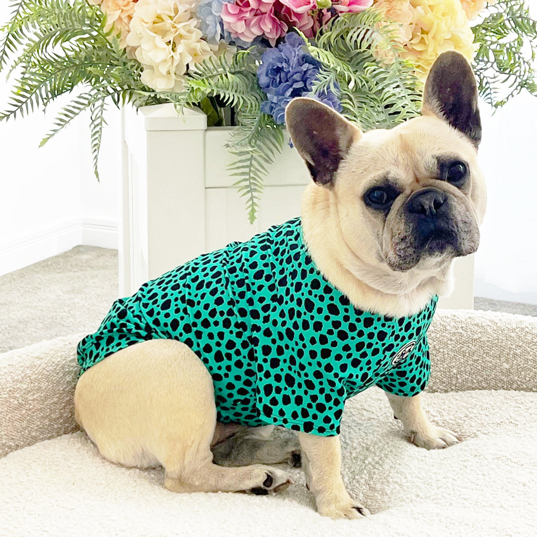 Emerald Splash Leopard - Sun & Sand Rashie UV 50+