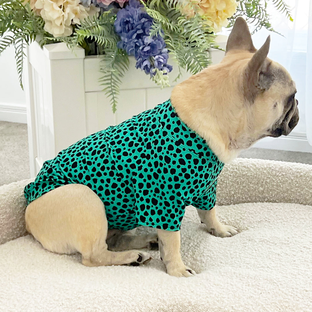 Emerald Splash Leopard - Sun & Sand Rashie UV 50+