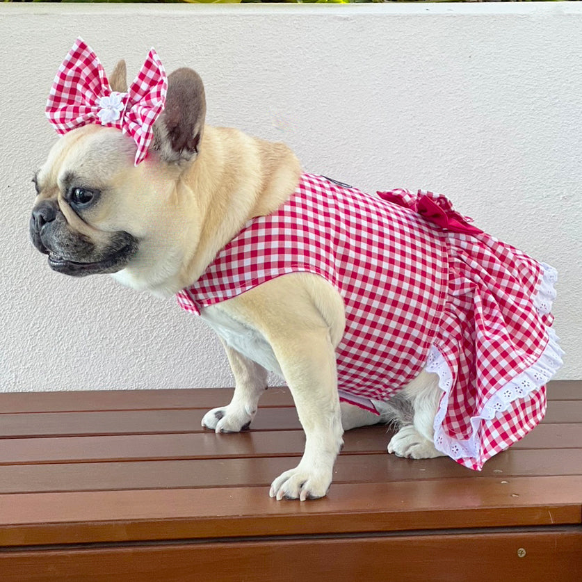Lipstick Red Gingham Ruffles Dog Dress with bow-SMALL