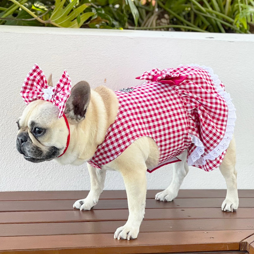 Lipstick Red Gingham Ruffles Dog Dress with bow Limited Edition Forever Frankie