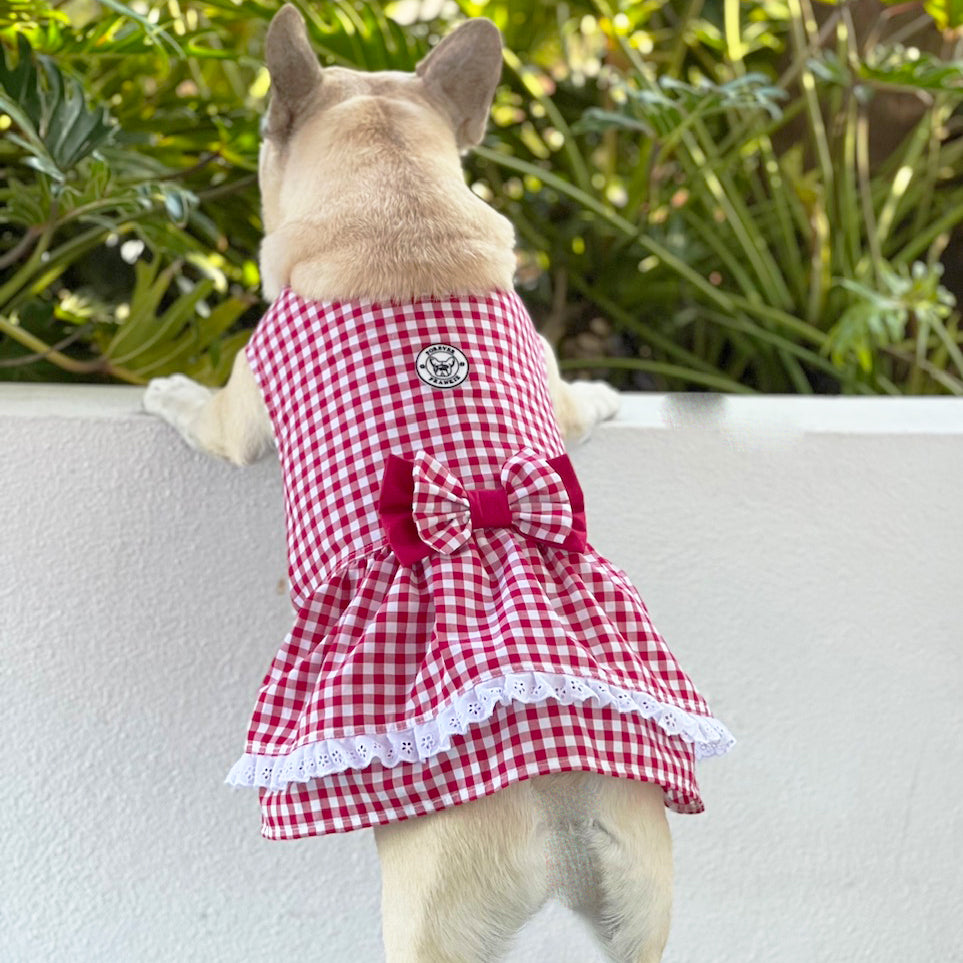 Lipstick Red Gingham Ruffles Dog Dress with bow-SMALL