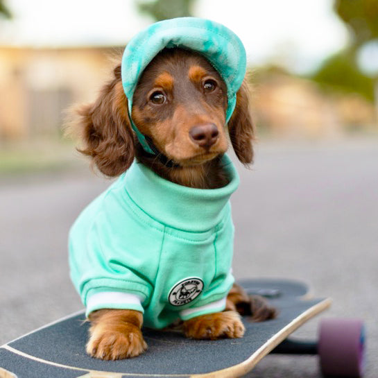 Mint Green with striped ribbing Dog Skivvie